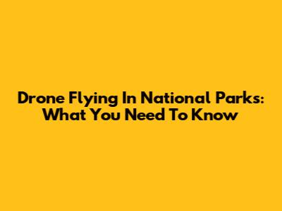 Drone Flying In National Parks: What You Need To Know