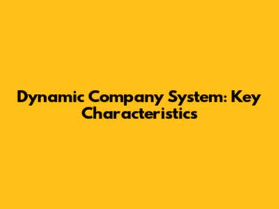 Dynamic Company System: Key Characteristics
