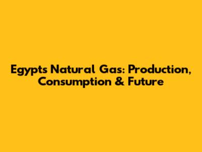 Egypt's Natural Gas: Production, Consumption & Future