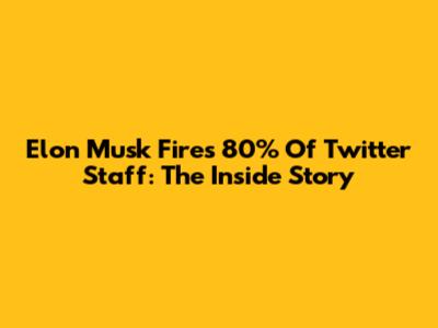 Elon Musk Fires 80% Of Twitter Staff: The Inside Story