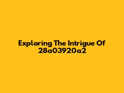 Exploring The Intrigue Of 28a03920a2