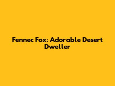 Fennec Fox: Adorable Desert Dweller