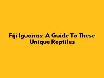 Fiji Iguanas: A Guide To These Unique Reptiles