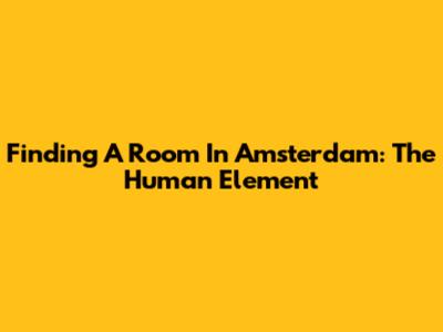 Finding A Room In Amsterdam: The Human Element