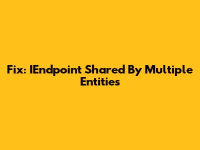 Fix: IEndpoint Shared By Multiple Entities