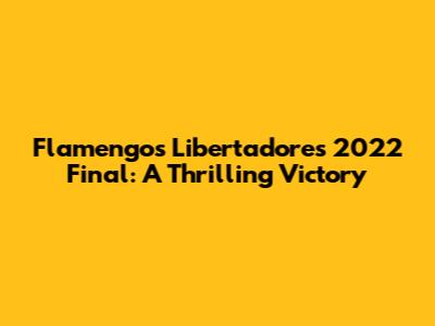 Flamengo's Libertadores 2022 Final: A Thrilling Victory