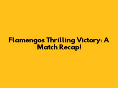 Flamengo's Thrilling Victory: A Match Recap!