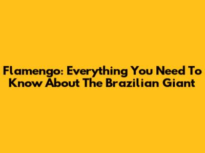 Flamengo: Everything You Need To Know About The Brazilian Giant