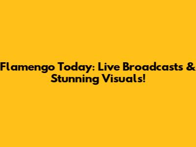 Flamengo Today: Live Broadcasts & Stunning Visuals!