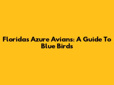 Florida's Azure Avians: A Guide To Blue Birds