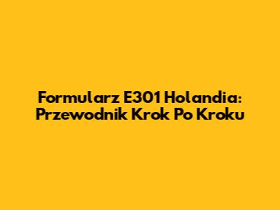 Formularz E301 Holandia: Przewodnik Krok Po Kroku