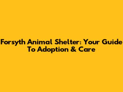Forsyth Animal Shelter: Your Guide To Adoption & Care
