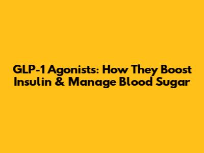 GLP-1 Agonists: How They Boost Insulin & Manage Blood Sugar