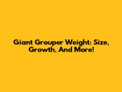 Giant Grouper Weight: Size, Growth, And More!