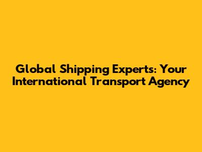 Global Shipping Experts: Your International Transport Agency
