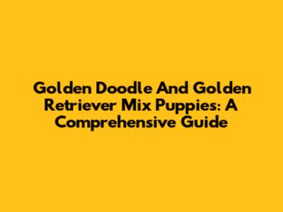 Golden Doodle And Golden Retriever Mix Puppies: A Comprehensive Guide