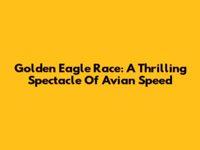 Golden Eagle Race: A Thrilling Spectacle Of Avian Speed