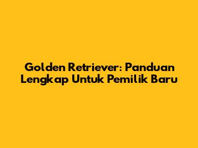 Golden Retriever: Panduan Lengkap Untuk Pemilik Baru