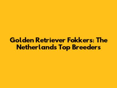 Golden Retriever Fokkers: The Netherlands' Top Breeders