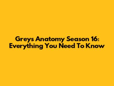 Grey's Anatomy Season 16: Everything You Need To Know