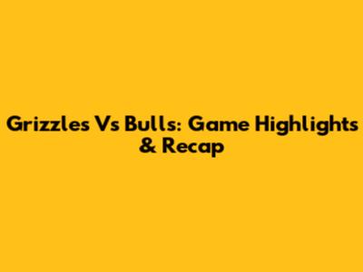 Grizzles Vs Bulls: Game Highlights & Recap