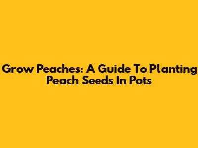 Grow Peaches: A Guide To Planting Peach Seeds In Pots