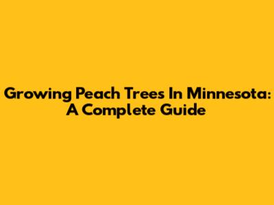 Growing Peach Trees In Minnesota: A Complete Guide