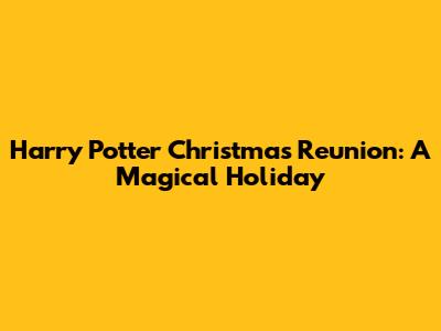 Harry Potter Christmas Reunion: A Magical Holiday