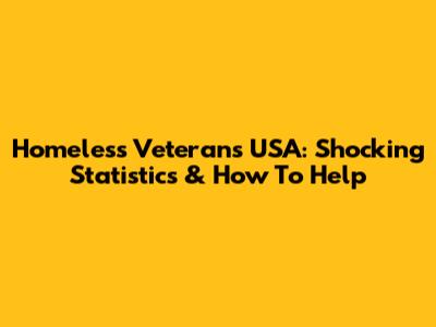 Homeless Veterans USA: Shocking Statistics & How To Help
