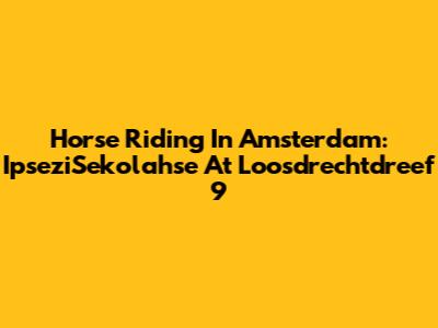 Horse Riding In Amsterdam: IpseziSekolahse At Loosdrechtdreef 9