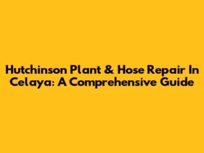 Hutchinson Plant & Hose Repair In Celaya: A Comprehensive Guide