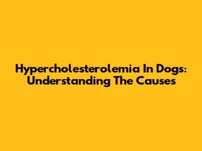 Hypercholesterolemia In Dogs: Understanding The Causes