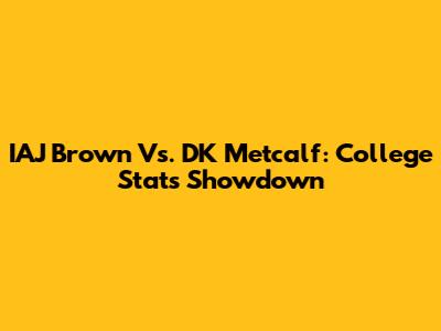IAJ Brown Vs. DK Metcalf: College Stats Showdown
