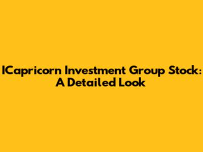 ICapricorn Investment Group Stock: A Detailed Look