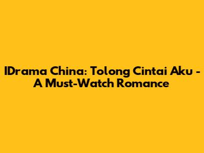 IDrama China: Tolong Cintai Aku - A Must-Watch Romance