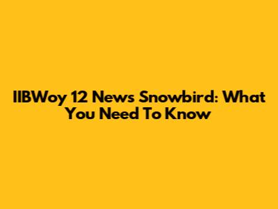 IIBWoy 12 News Snowbird: What You Need To Know