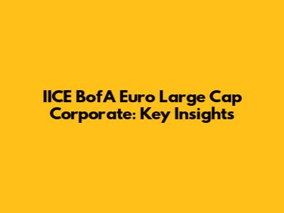 IICE BofA Euro Large Cap Corporate: Key Insights