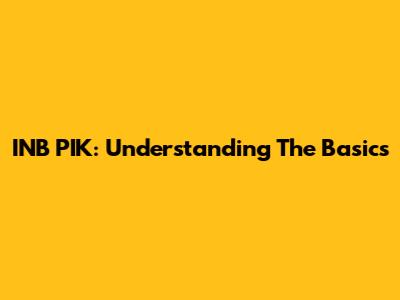 INB PIK: Understanding The Basics