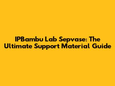 IPBambu Lab Sepvase: The Ultimate Support Material Guide