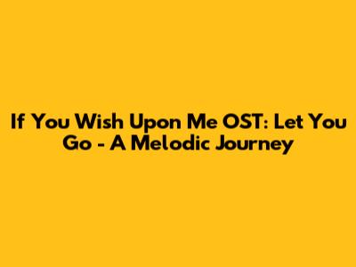 If You Wish Upon Me OST: Let You Go - A Melodic Journey