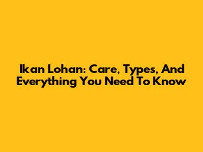 Ikan Lohan: Care, Types, And Everything You Need To Know