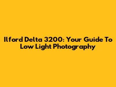 Ilford Delta 3200: Your Guide To Low Light Photography