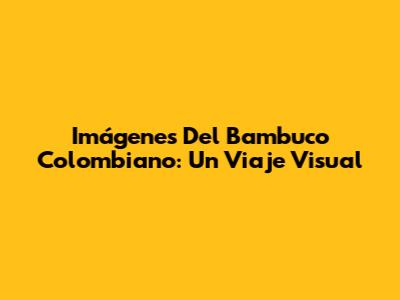 Imágenes Del Bambuco Colombiano: Un Viaje Visual