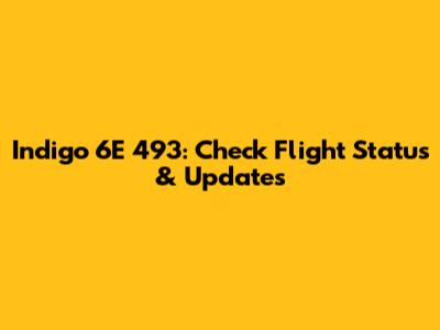 Indigo 6E 493: Check Flight Status & Updates