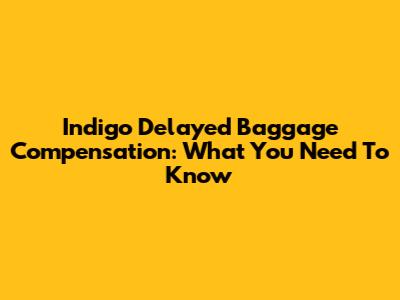 Indigo Delayed Baggage Compensation: What You Need To Know
