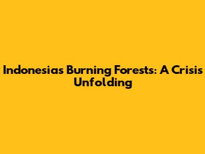 Indonesia's Burning Forests: A Crisis Unfolding
