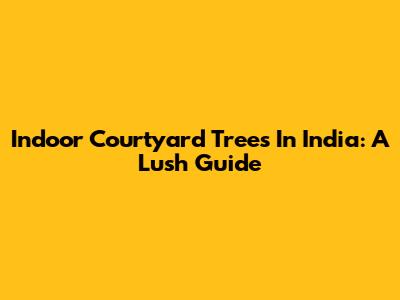 Indoor Courtyard Trees In India: A Lush Guide