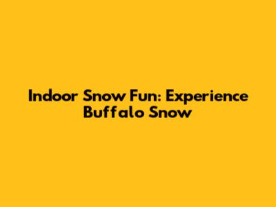 Indoor Snow Fun: Experience Buffalo Snow