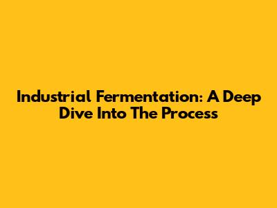 Industrial Fermentation: A Deep Dive Into The Process