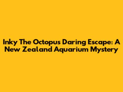 Inky The Octopus' Daring Escape: A New Zealand Aquarium Mystery